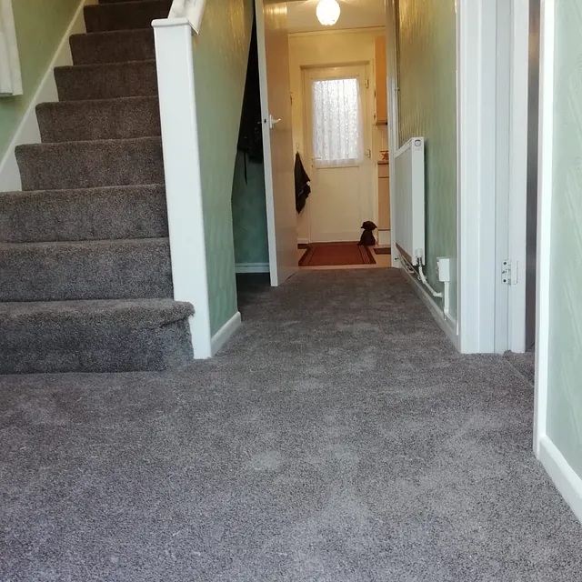 Grey stair and hallway carpet