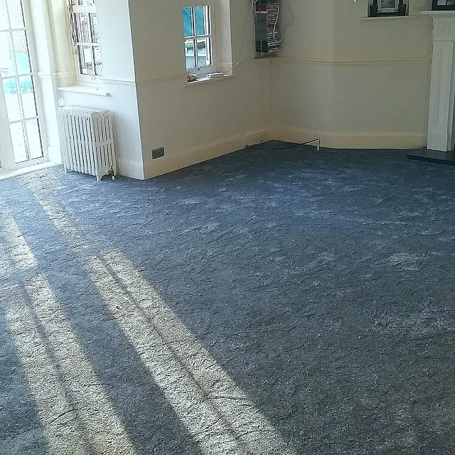 luxurious new grey carpet