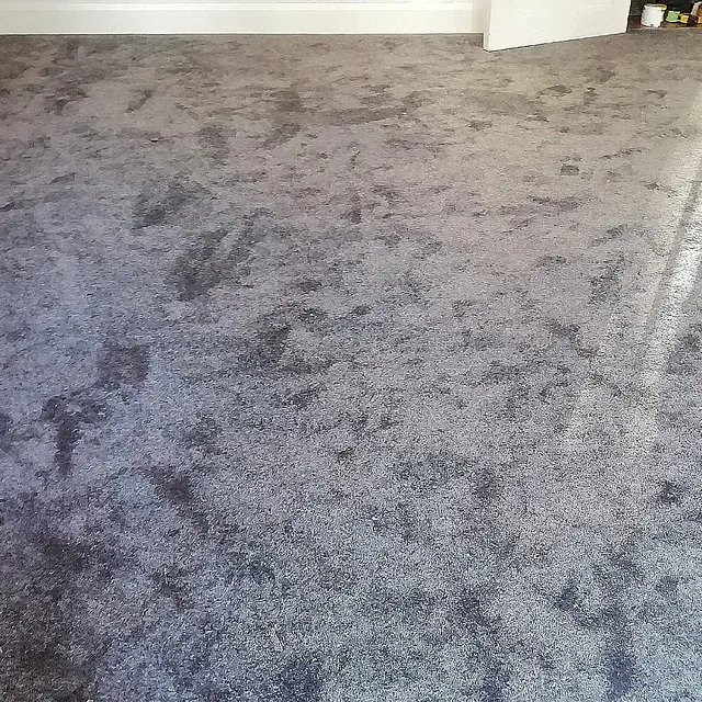 Smoke grey carpet